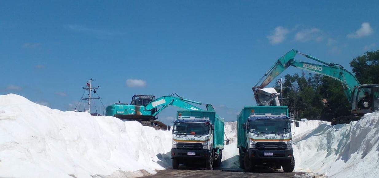 Dumptruck Fleet